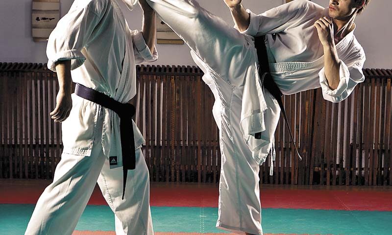 Radu Todiraş – Overall Karate Champion